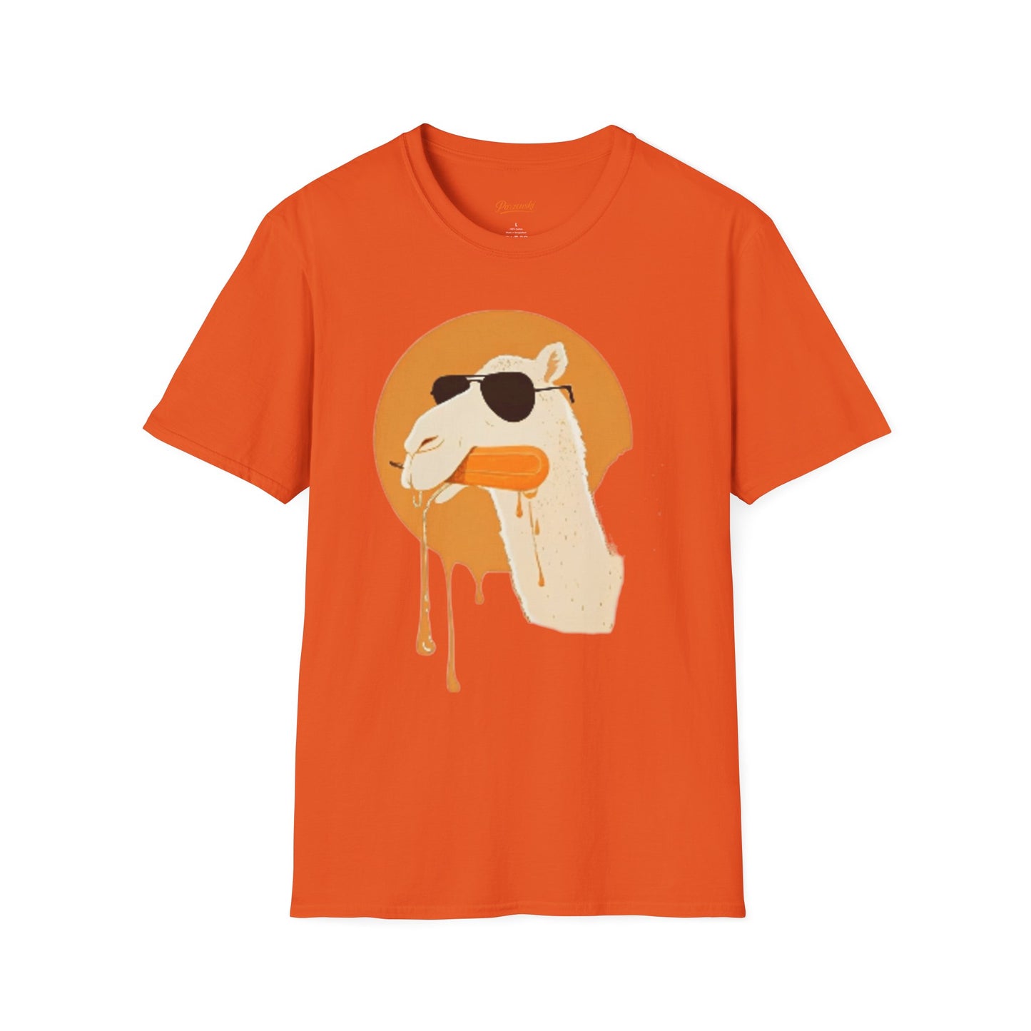 The Cool Camel